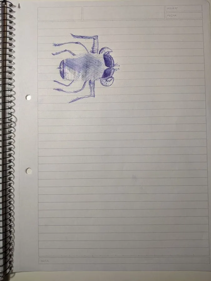 Week 8 - Pen Drawing, image 2