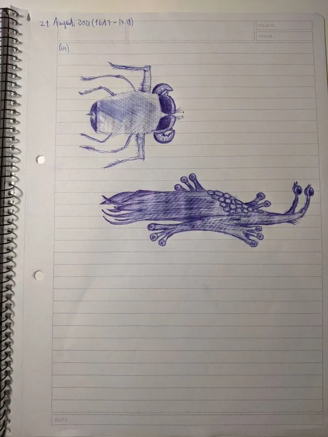 Week 8 - Pen Drawing, image 3