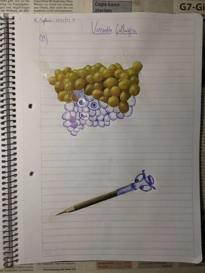 Week 11 - Pen Drawing, image 6